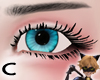 (C) Marinette Eyes F