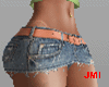 Mini Skirt    RLL