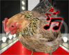 [k] chiken Sound