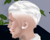 Degradê - Platinum Hair