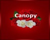 Red Rose Canopy