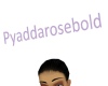 Py Head Sign