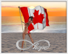 Canadian Flag Poses