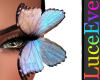 Large Lash Butterfly R