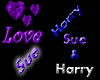 Sue & Harry Particles