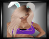 Clock Work Bunny VS2