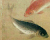 Japanese screen - fishes