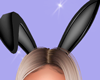 bunny ear