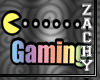 Z: 3D Gaming Headsign
