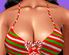 🎄Christmas Bikini V2