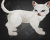 White Cat