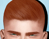 Fade Ginger
