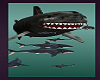 Sharks Pet Fish Animated Swimming Male Avatars