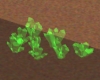 Green Crystal Formation
