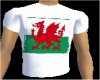 Wales T Shirt
