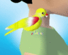 [Nal] Yellow Parakeet