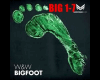 Bigfoot W&W partie1
