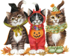 Halloween Kittens 5