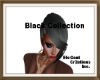 Blk Hair Collection VI