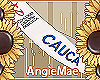AM* MissCauca