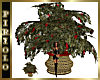 Christmas Holly Tree
