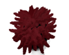 burgundy hair