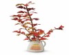 Autumne Branch / Vase