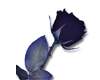 Gothic Blue Rose