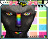 |KyO|Rainbow Tookzi Fur2