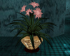 (T)Oriental Potted Plant