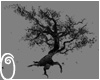 Tree Of death_spidertree