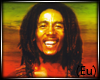 (Eu) Bob Marley Rug