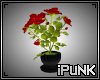 iPuNK - Rose Bush