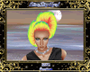 Donna Updo Hair Rainbow