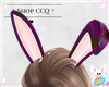 [CCQ]Bunny Ears-Eggies