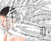 x. Shoulder Fur I