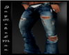 (J)Ripped Jeans Unzip2