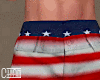 4th July Beach Shorts