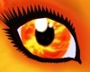 Nova's Eyes