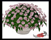 B98 Carnations Purple