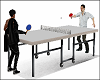 Ping Pong Table