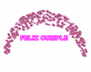 GM's Pink HAPPY B arch