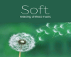 Soft Music 2