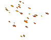 SN fall leaves