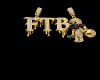 FTB custom