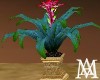 *Cleopatra Pot Plant/1