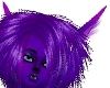 Royal Purple Lioness Ear