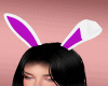 Z}  June Bunny Ears