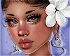 T | Lilly T3