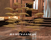 GoldLeaf Plant#2